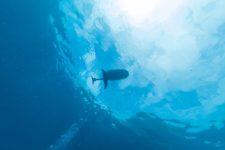 eFoil – El Niño Surf Center, Can Pastilla