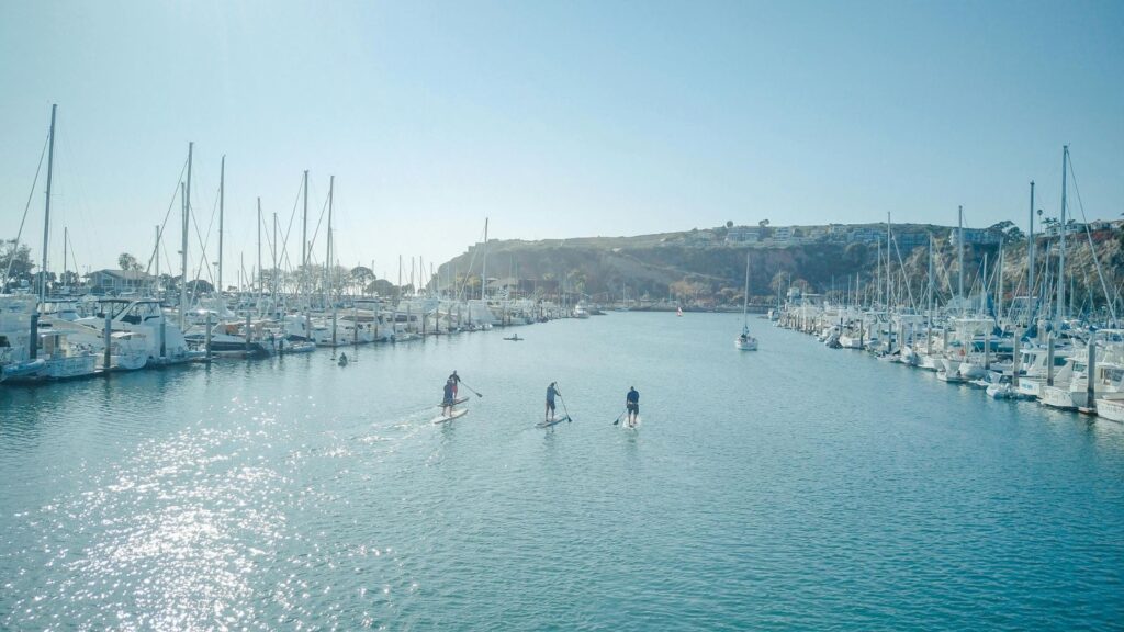 Grupo de paddleboarders en marina, escena de evento náutico. Pexels royalty-free. Pura Vida Mallorca.